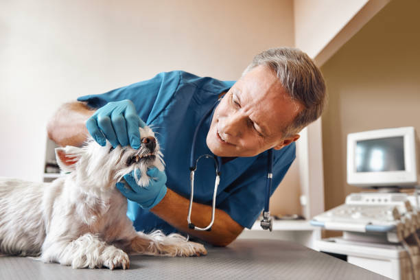 Best Emergency Dentist for Special Needs Patients in Elizabeth City, NC